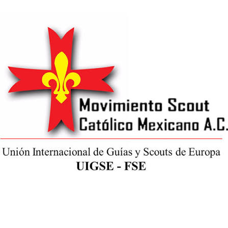 Logo Scouts
